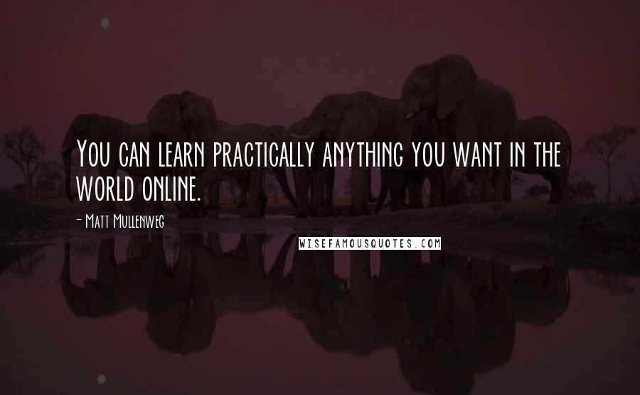 Matt Mullenweg Quotes: You can learn practically anything you want in the world online.