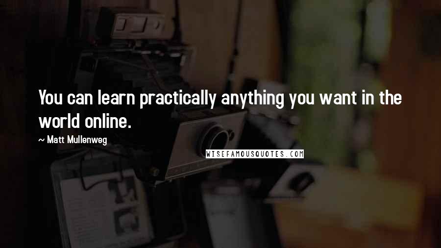 Matt Mullenweg Quotes: You can learn practically anything you want in the world online.