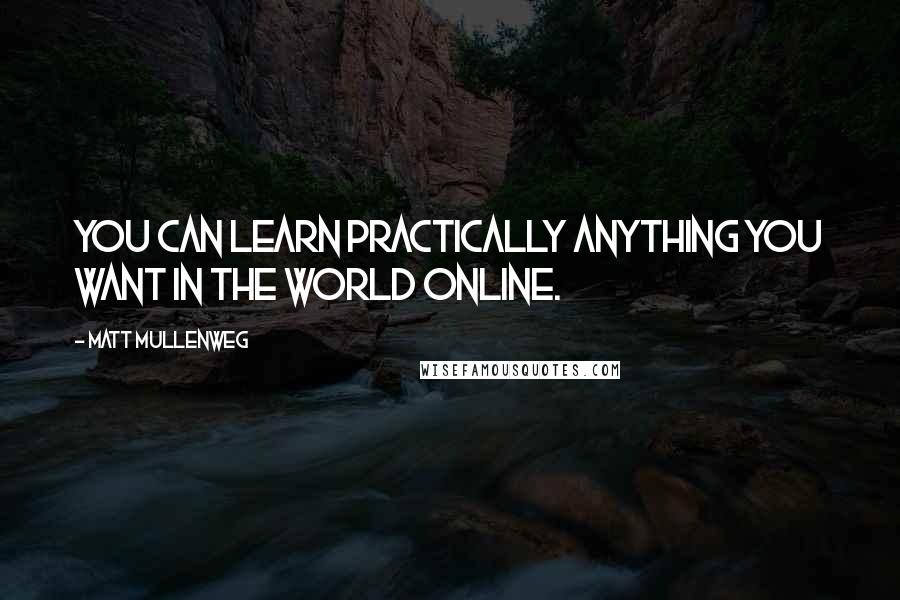 Matt Mullenweg Quotes: You can learn practically anything you want in the world online.