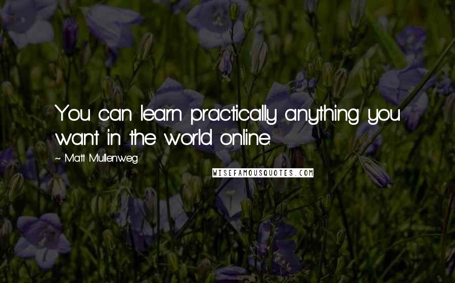 Matt Mullenweg Quotes: You can learn practically anything you want in the world online.