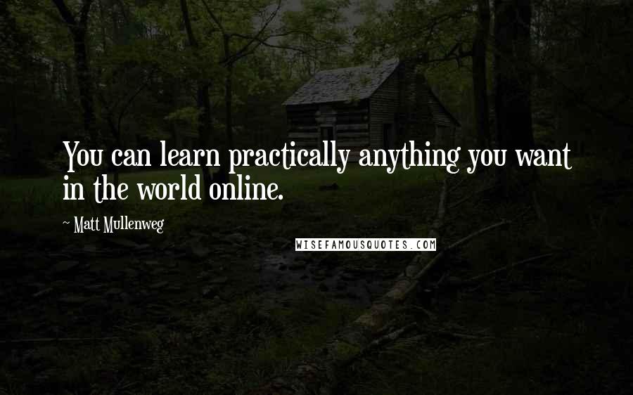 Matt Mullenweg Quotes: You can learn practically anything you want in the world online.