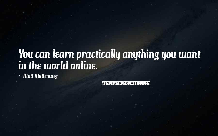 Matt Mullenweg Quotes: You can learn practically anything you want in the world online.