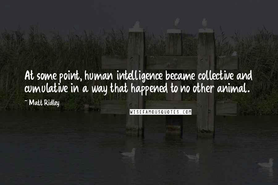 Matt Ridley Quotes: At some point, human intelligence became collective and cumulative in a way that happened to no other animal.