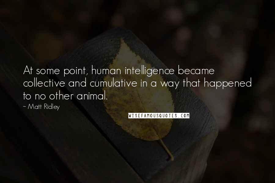 Matt Ridley Quotes: At some point, human intelligence became collective and cumulative in a way that happened to no other animal.