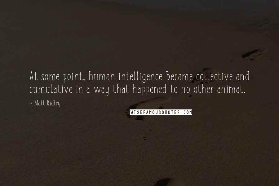 Matt Ridley Quotes: At some point, human intelligence became collective and cumulative in a way that happened to no other animal.