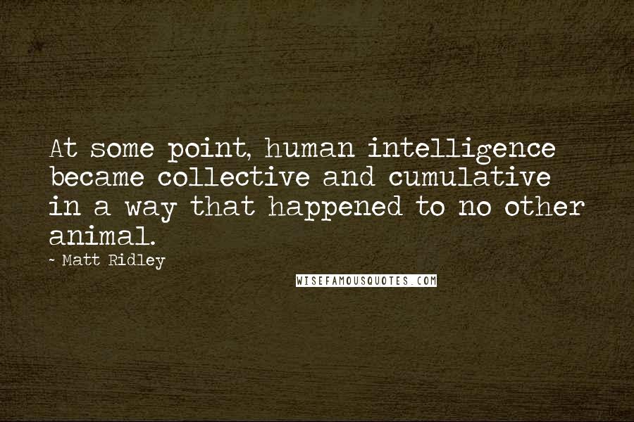 Matt Ridley Quotes: At some point, human intelligence became collective and cumulative in a way that happened to no other animal.
