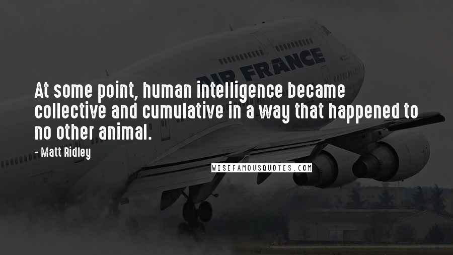 Matt Ridley Quotes: At some point, human intelligence became collective and cumulative in a way that happened to no other animal.