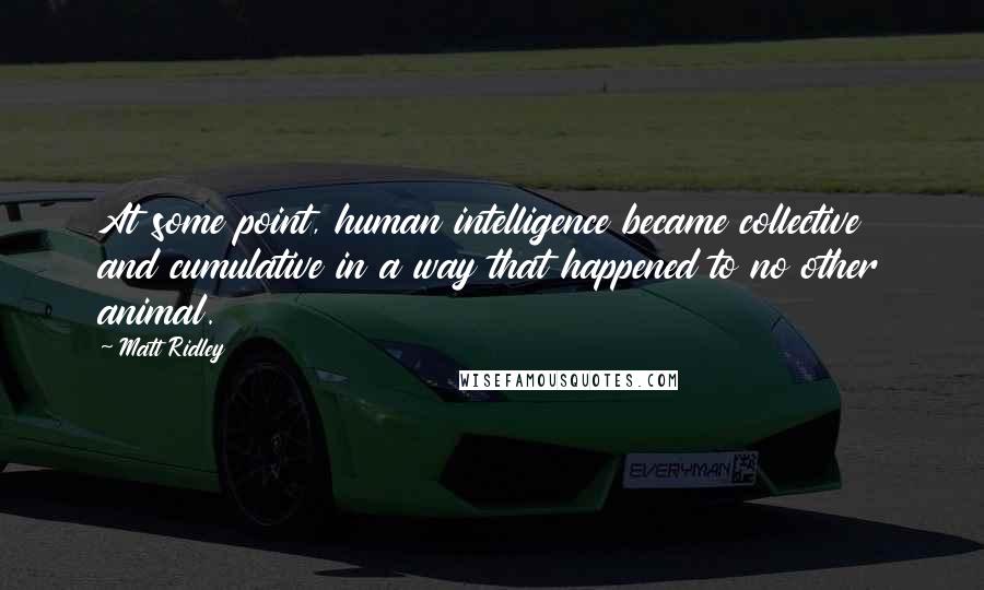 Matt Ridley Quotes: At some point, human intelligence became collective and cumulative in a way that happened to no other animal.