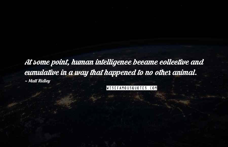 Matt Ridley Quotes: At some point, human intelligence became collective and cumulative in a way that happened to no other animal.