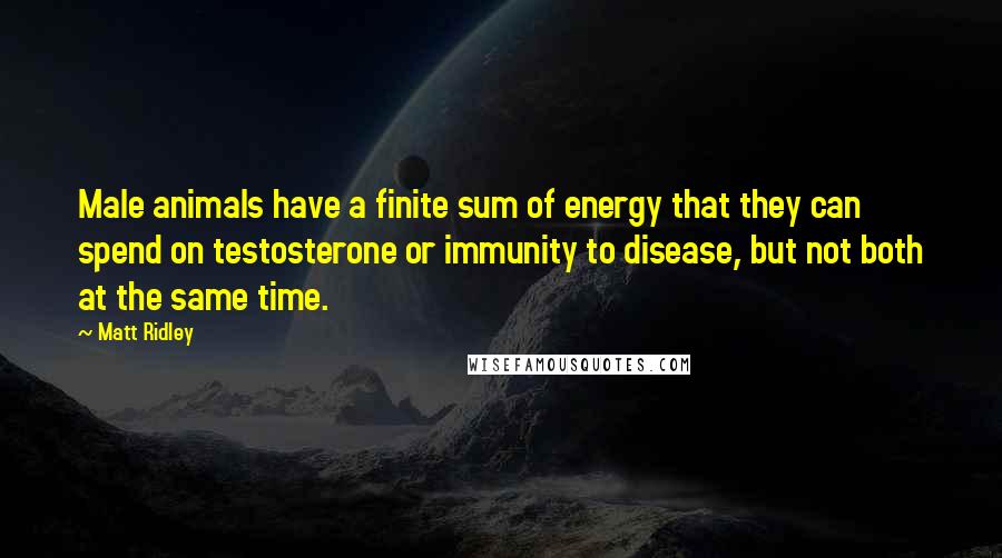 Matt Ridley Quotes: Male animals have a finite sum of energy that they can spend on testosterone or immunity to disease, but not both at the same time.
