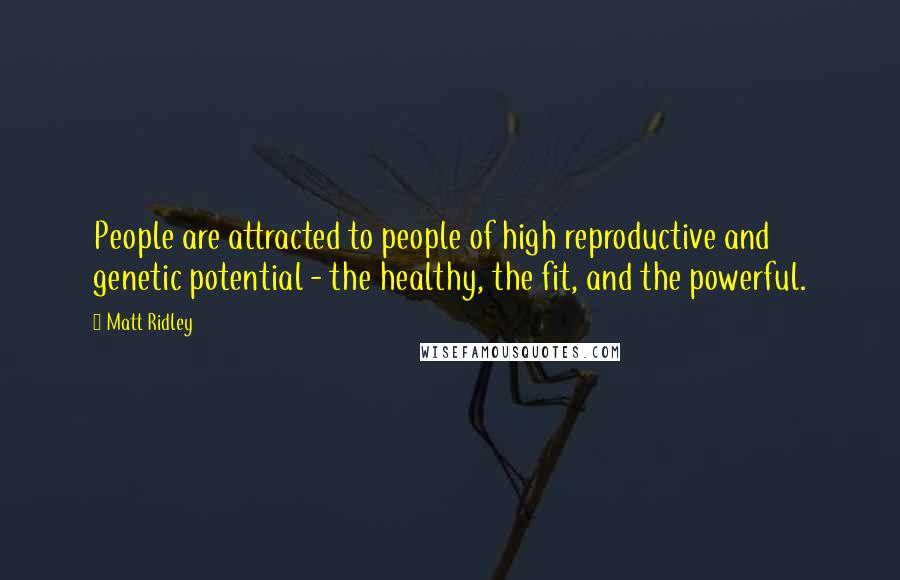 Matt Ridley Quotes: People are attracted to people of high reproductive and genetic potential - the healthy, the fit, and the powerful.