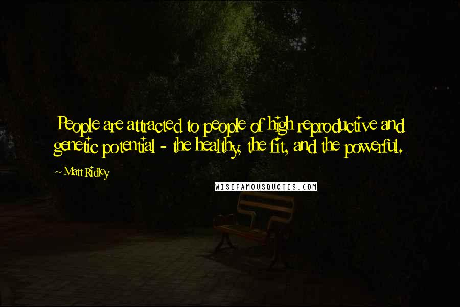 Matt Ridley Quotes: People are attracted to people of high reproductive and genetic potential - the healthy, the fit, and the powerful.