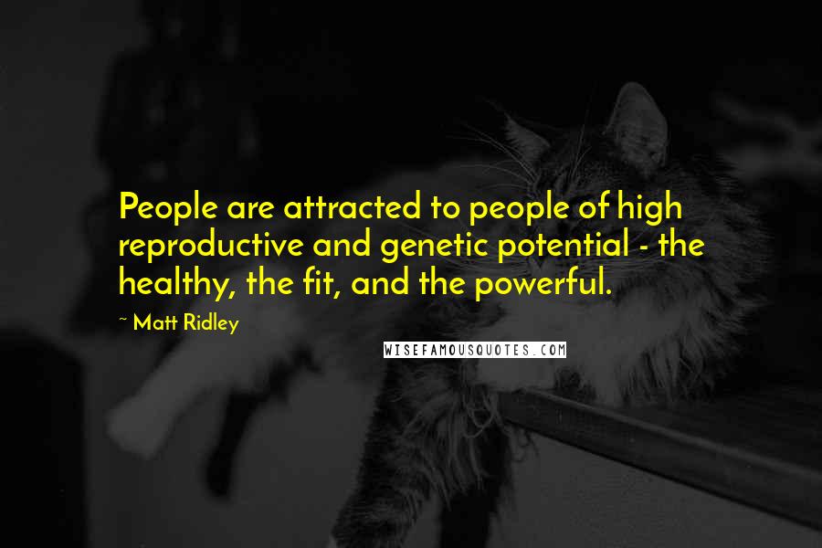 Matt Ridley Quotes: People are attracted to people of high reproductive and genetic potential - the healthy, the fit, and the powerful.