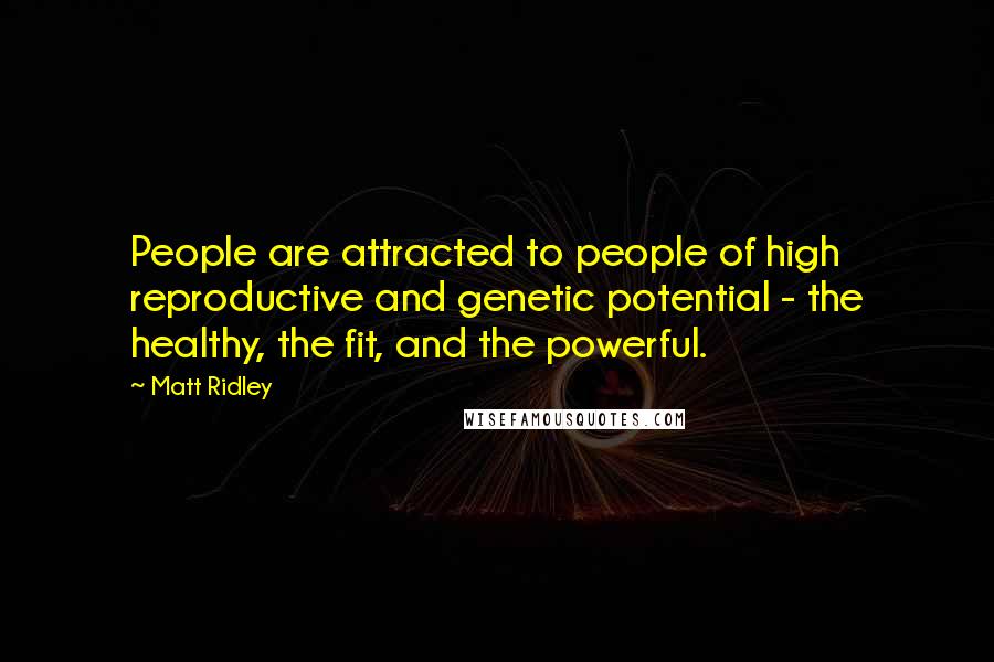 Matt Ridley Quotes: People are attracted to people of high reproductive and genetic potential - the healthy, the fit, and the powerful.