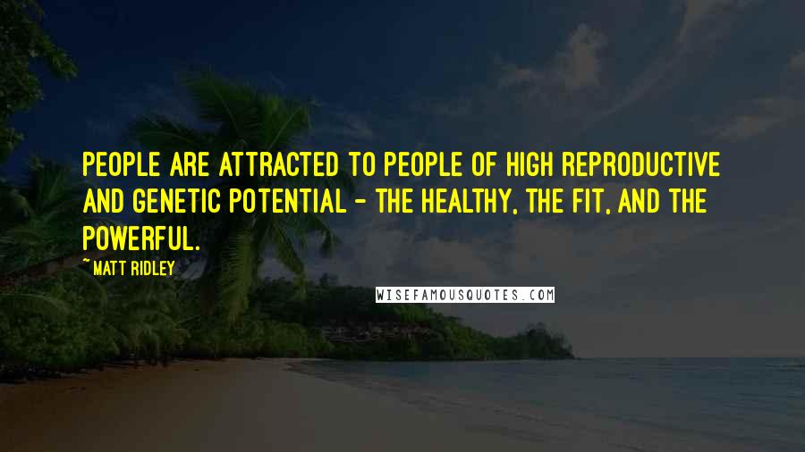 Matt Ridley Quotes: People are attracted to people of high reproductive and genetic potential - the healthy, the fit, and the powerful.