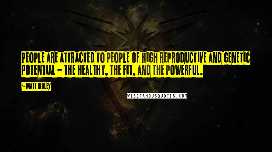 Matt Ridley Quotes: People are attracted to people of high reproductive and genetic potential - the healthy, the fit, and the powerful.