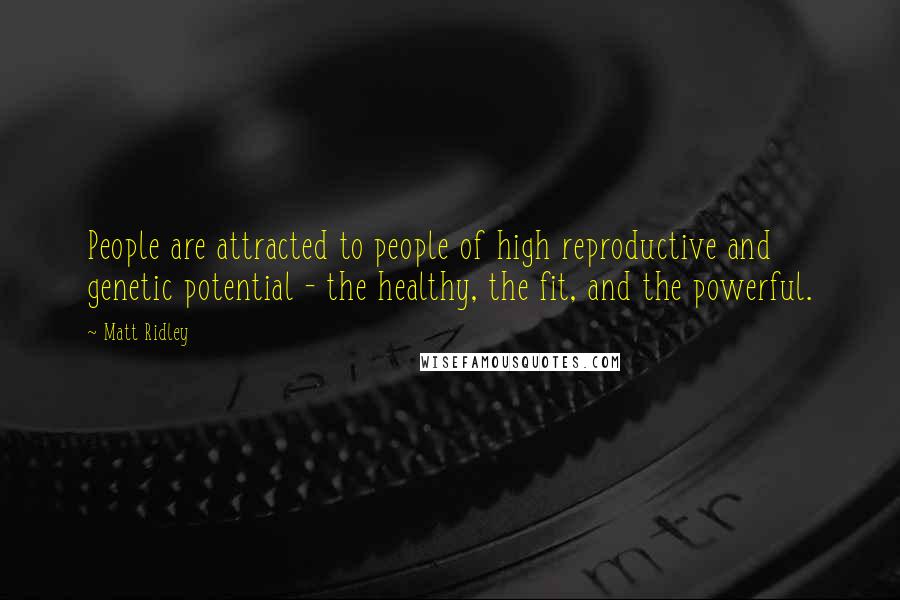 Matt Ridley Quotes: People are attracted to people of high reproductive and genetic potential - the healthy, the fit, and the powerful.