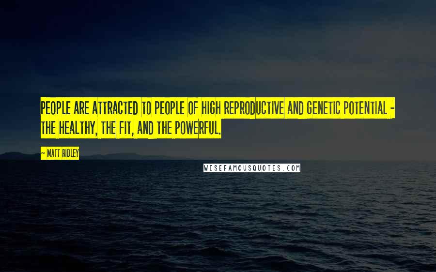 Matt Ridley Quotes: People are attracted to people of high reproductive and genetic potential - the healthy, the fit, and the powerful.