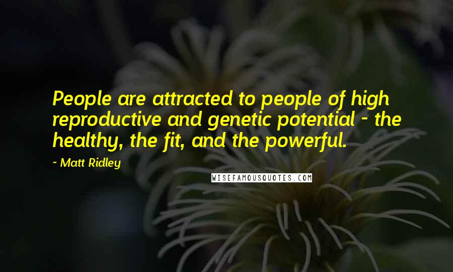 Matt Ridley Quotes: People are attracted to people of high reproductive and genetic potential - the healthy, the fit, and the powerful.