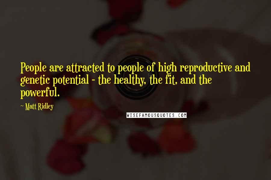 Matt Ridley Quotes: People are attracted to people of high reproductive and genetic potential - the healthy, the fit, and the powerful.