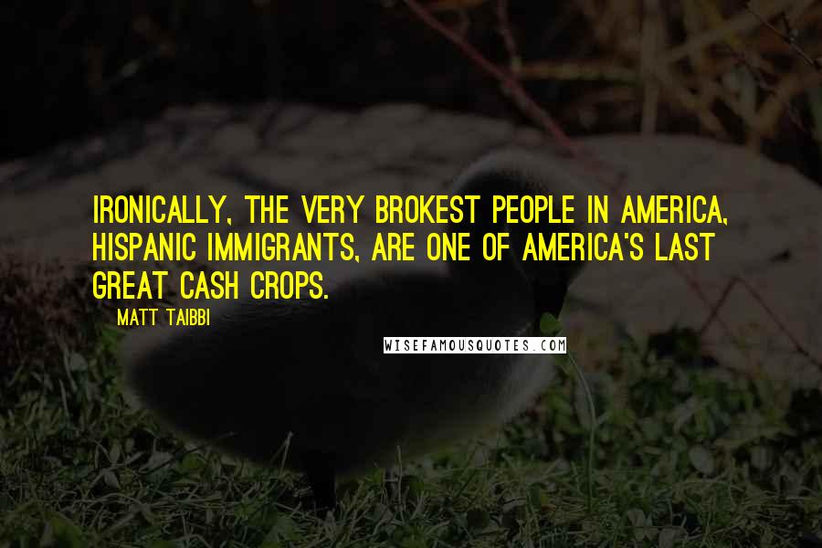 Matt Taibbi Quotes: Ironically, the very brokest people in America, Hispanic immigrants, are one of America's last great cash crops.