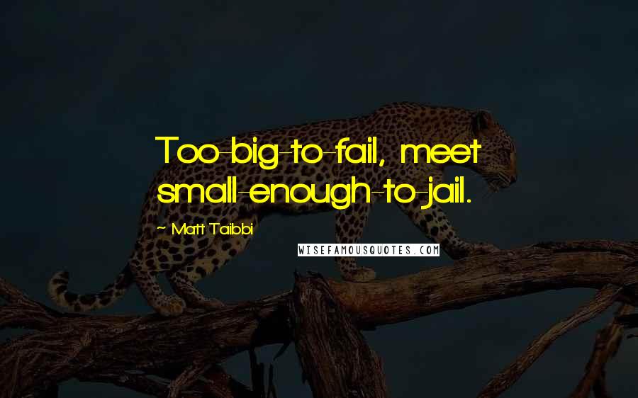 Matt Taibbi Quotes: Too-big-to-fail, meet small-enough-to-jail.