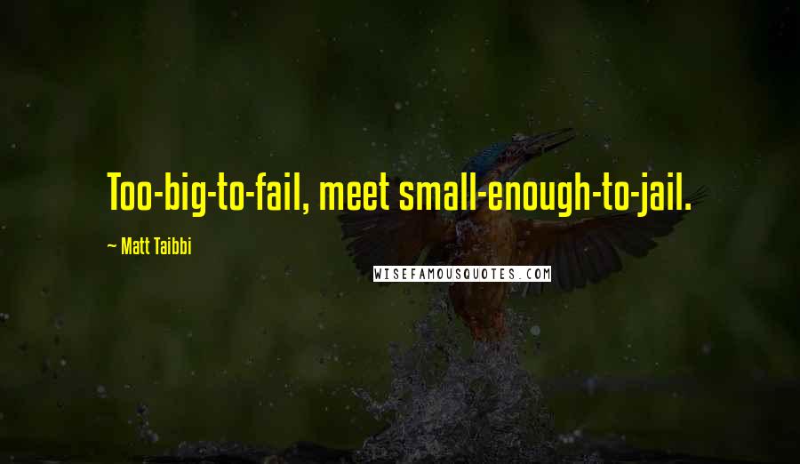 Matt Taibbi Quotes: Too-big-to-fail, meet small-enough-to-jail.