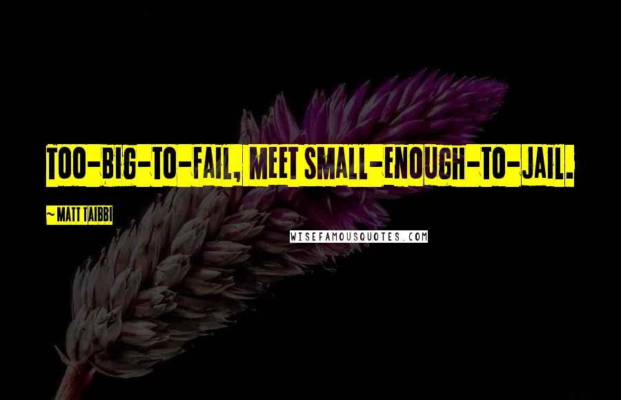 Matt Taibbi Quotes: Too-big-to-fail, meet small-enough-to-jail.