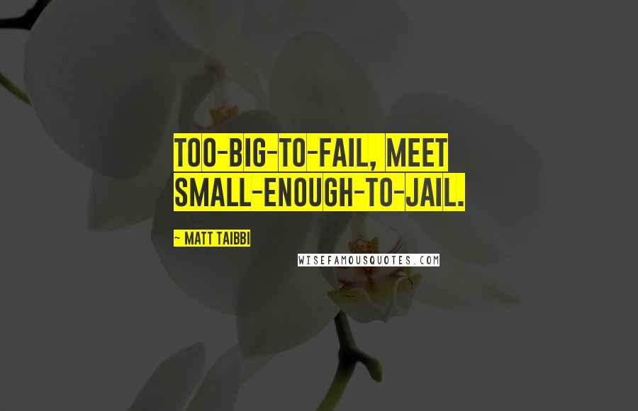 Matt Taibbi Quotes: Too-big-to-fail, meet small-enough-to-jail.