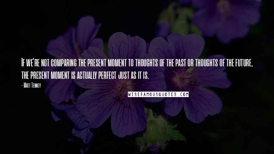 Matt Tenney Quotes: If we're not comparing the present moment to thoughts of the past or thoughts of the future, the present moment is actually perfect just as it is.