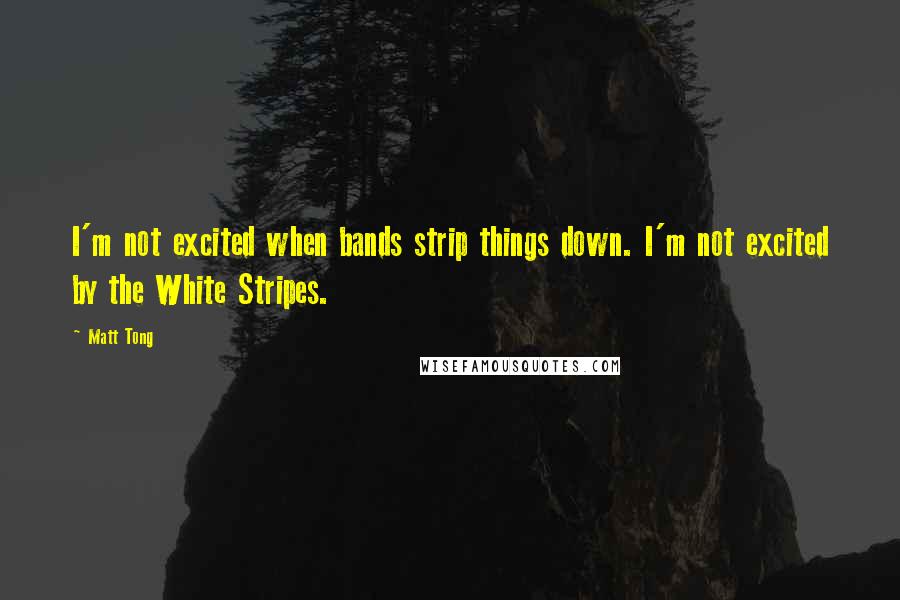 Matt Tong Quotes: I'm not excited when bands strip things down. I'm not excited by the White Stripes.