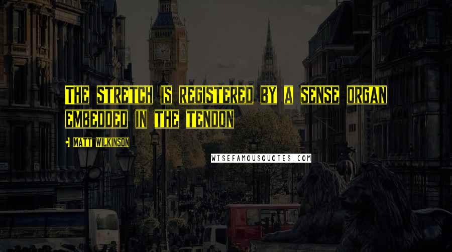 Matt Wilkinson Quotes: The stretch is registered by a sense organ embedded in the tendon