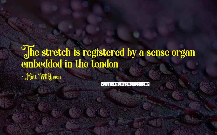 Matt Wilkinson Quotes: The stretch is registered by a sense organ embedded in the tendon