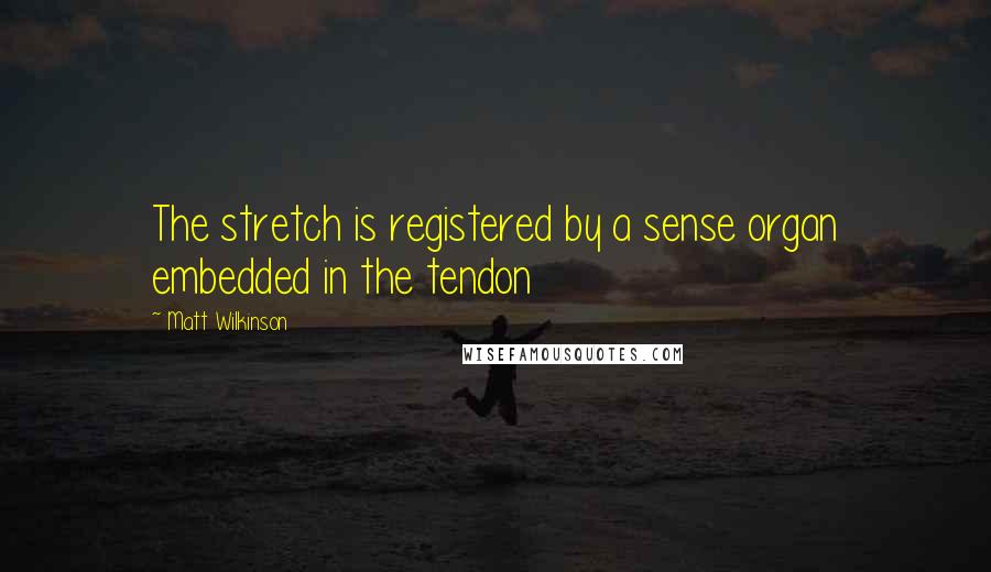 Matt Wilkinson Quotes: The stretch is registered by a sense organ embedded in the tendon