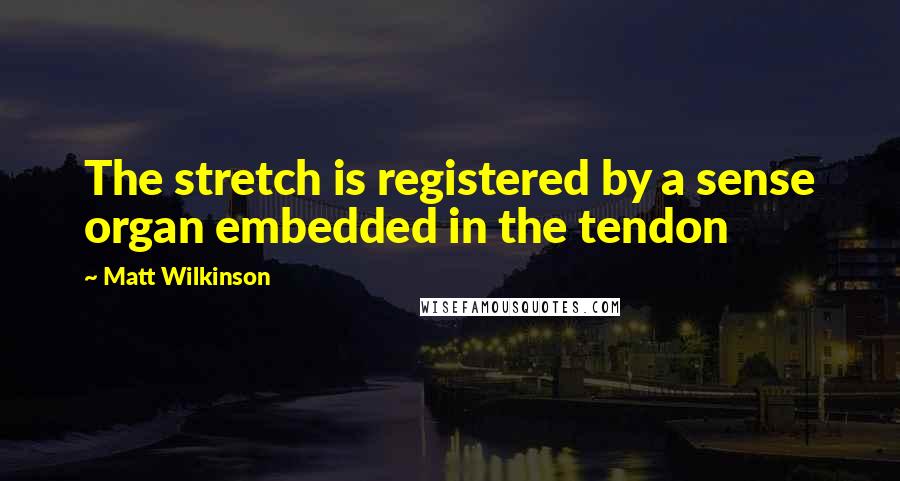 Matt Wilkinson Quotes: The stretch is registered by a sense organ embedded in the tendon