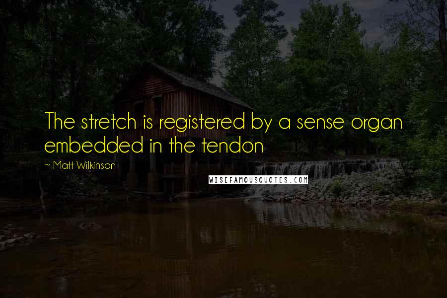 Matt Wilkinson Quotes: The stretch is registered by a sense organ embedded in the tendon