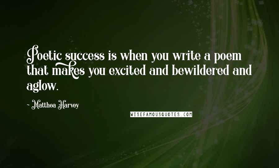 Matthea Harvey Quotes: Poetic success is when you write a poem that makes you excited and bewildered and aglow.