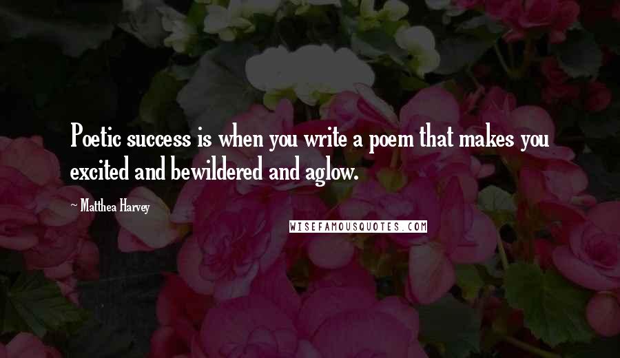 Matthea Harvey Quotes: Poetic success is when you write a poem that makes you excited and bewildered and aglow.