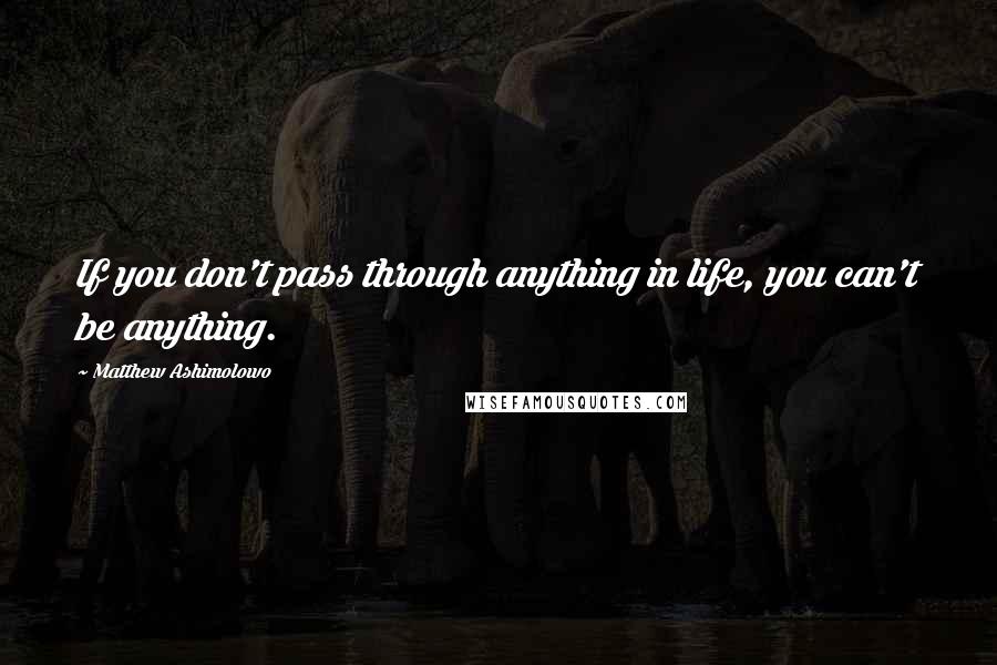 Matthew Ashimolowo Quotes: If you don't pass through anything in life, you can't be anything.
