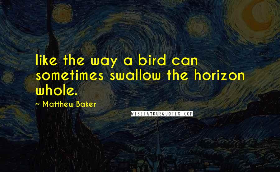 Matthew Baker Quotes: like the way a bird can sometimes swallow the horizon whole.