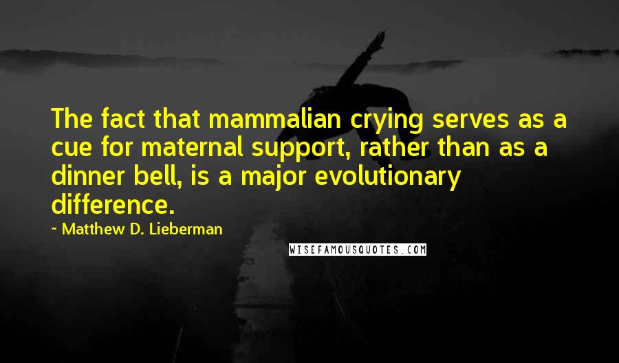 Matthew D. Lieberman Quotes: The fact that mammalian crying serves as a cue for maternal support, rather than as a dinner bell, is a major evolutionary difference.