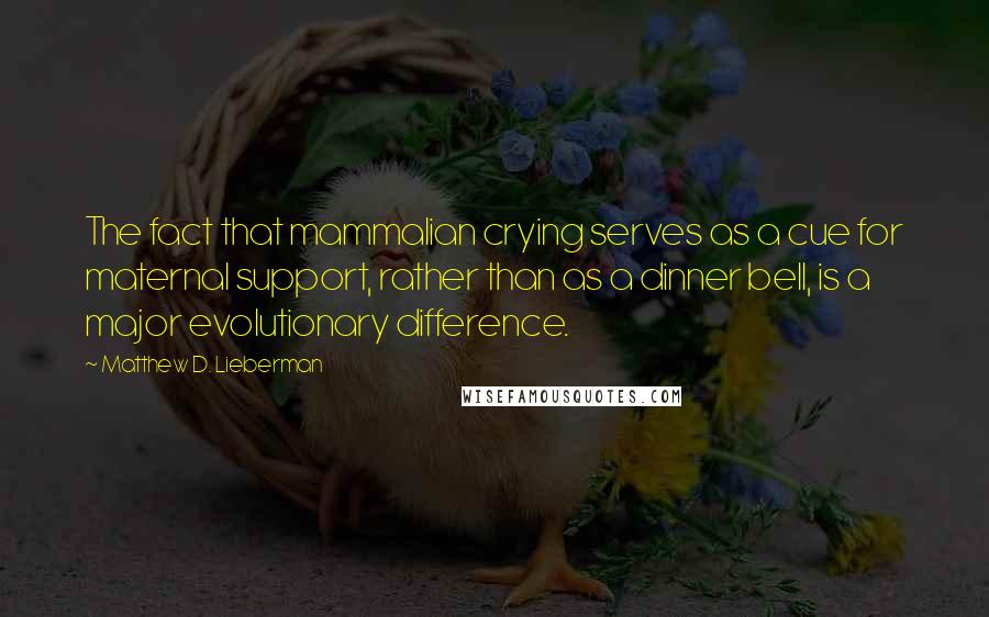 Matthew D. Lieberman Quotes: The fact that mammalian crying serves as a cue for maternal support, rather than as a dinner bell, is a major evolutionary difference.