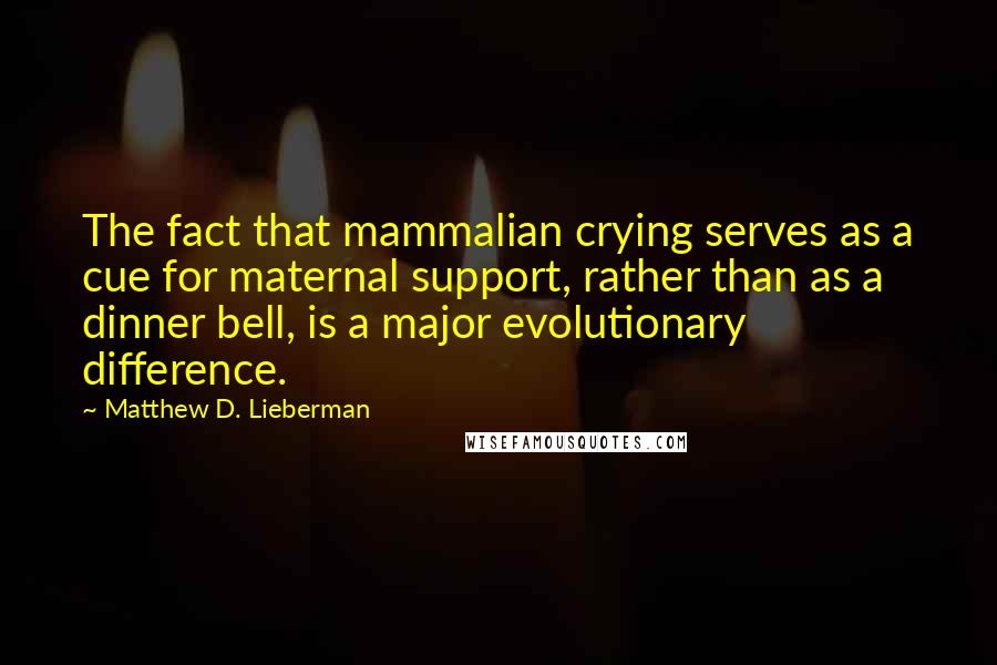 Matthew D. Lieberman Quotes: The fact that mammalian crying serves as a cue for maternal support, rather than as a dinner bell, is a major evolutionary difference.