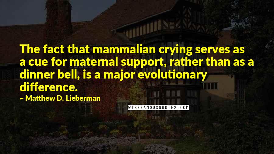 Matthew D. Lieberman Quotes: The fact that mammalian crying serves as a cue for maternal support, rather than as a dinner bell, is a major evolutionary difference.