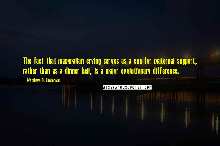 Matthew D. Lieberman Quotes: The fact that mammalian crying serves as a cue for maternal support, rather than as a dinner bell, is a major evolutionary difference.