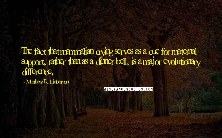 Matthew D. Lieberman Quotes: The fact that mammalian crying serves as a cue for maternal support, rather than as a dinner bell, is a major evolutionary difference.