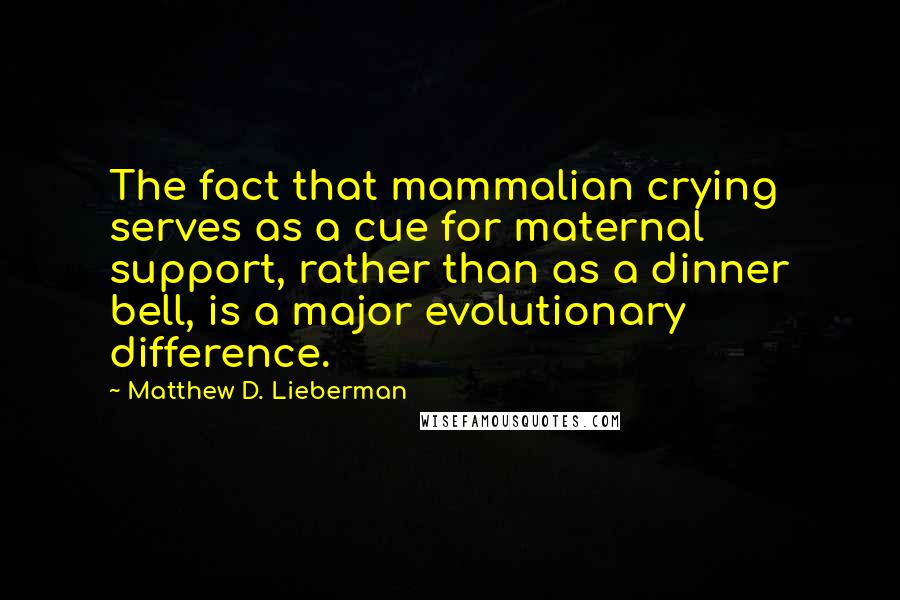 Matthew D. Lieberman Quotes: The fact that mammalian crying serves as a cue for maternal support, rather than as a dinner bell, is a major evolutionary difference.