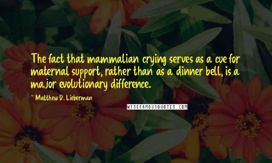 Matthew D. Lieberman Quotes: The fact that mammalian crying serves as a cue for maternal support, rather than as a dinner bell, is a major evolutionary difference.