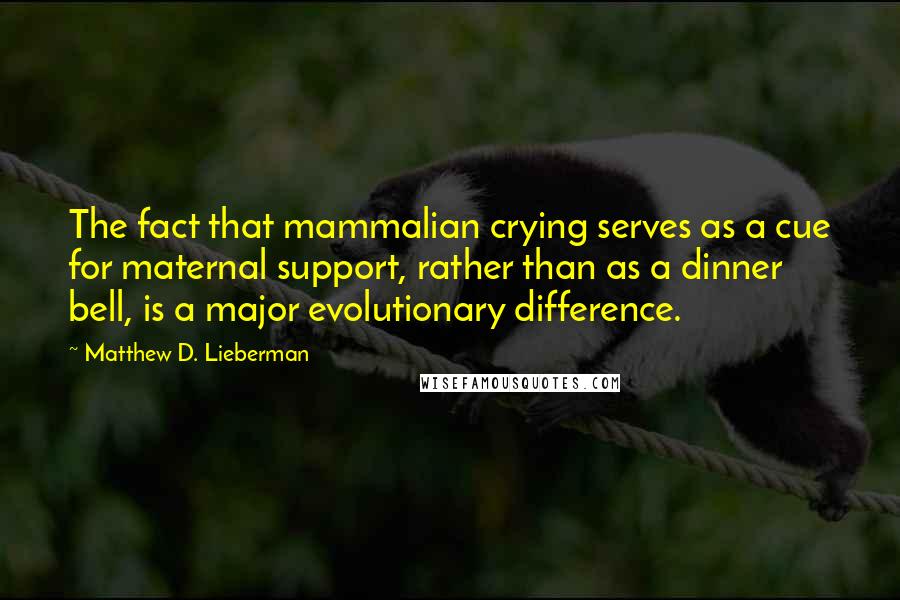 Matthew D. Lieberman Quotes: The fact that mammalian crying serves as a cue for maternal support, rather than as a dinner bell, is a major evolutionary difference.