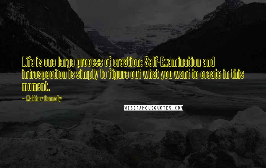 Matthew Donnelly Quotes: Life is one large process of creation: Self-Examination and introspection is simply to figure out what you want to create in this moment.